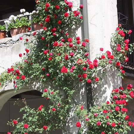 Affittacamere Casa Archi Losone Exteriér fotografie