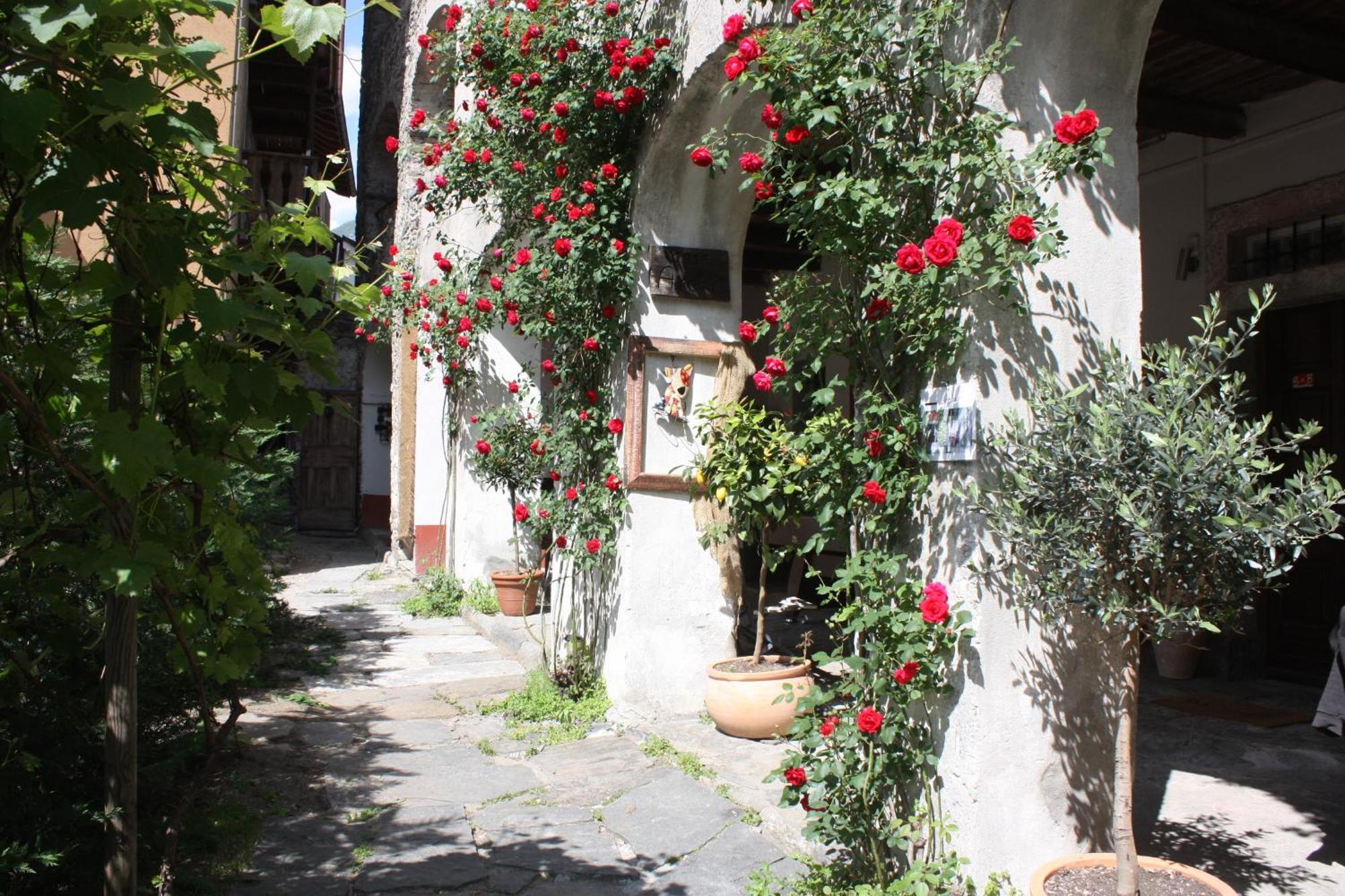Affittacamere Casa Archi Losone Exteriér fotografie