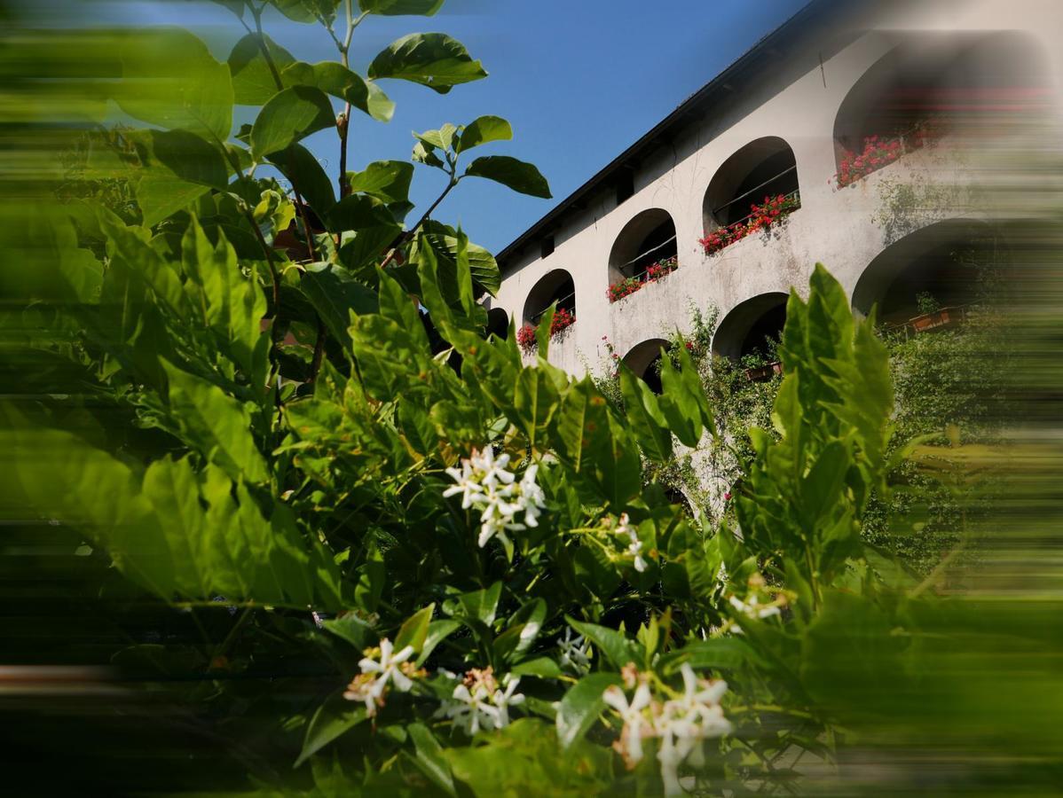 Affittacamere Casa Archi Losone Exteriér fotografie